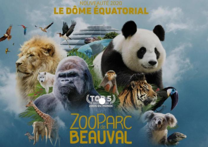 Jungle Dans Maison D'hote 